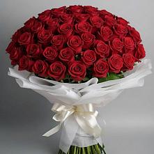 Букет 101 Красная роза Блэк Мэджик в Зуевке Курской области