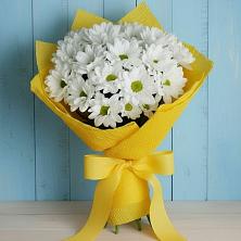 Букет цветов из:  Хризантемы в Зуевке Курской области