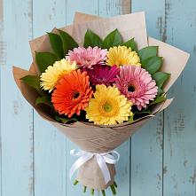 Букет цветов из:  Герберы в Зуевке Курской области