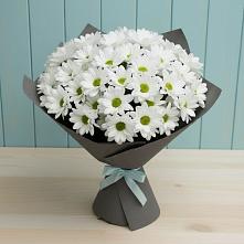 Букет цветов из:  Хризантемы в Зуевке Курской области