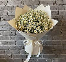 Букет цветов из:  Ромашки в Зуевке Курской области
