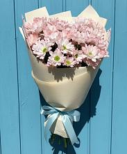 Букет цветов из:  Хризантемы в Зуевке Курской области