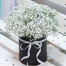 Цветочная композиция из Гипсофила в шляпной коробке #REPLACE_PRED# Зуевке Курской области