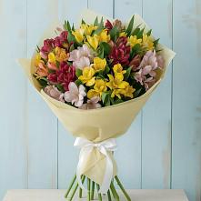 Букет цветов из:  Альстромерии в Зуевке Курской области