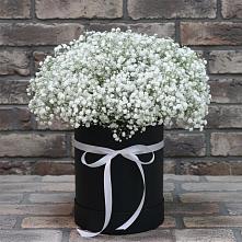 Цветочная композиция из Гипсофила в шляпной коробке в Зуевке Курской области
