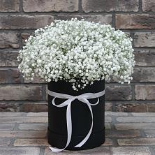 Цветочная композиция из Гипсофила в шляпной коробке в Зуевке Курской области