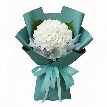 Букет цветов из:  Гортензия #REPLACE_PRED# Зуевке Курской области